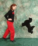 canine freestyle in nashville, tennessee